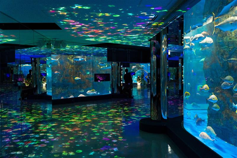 のとじま水族館（石川県七尾市）