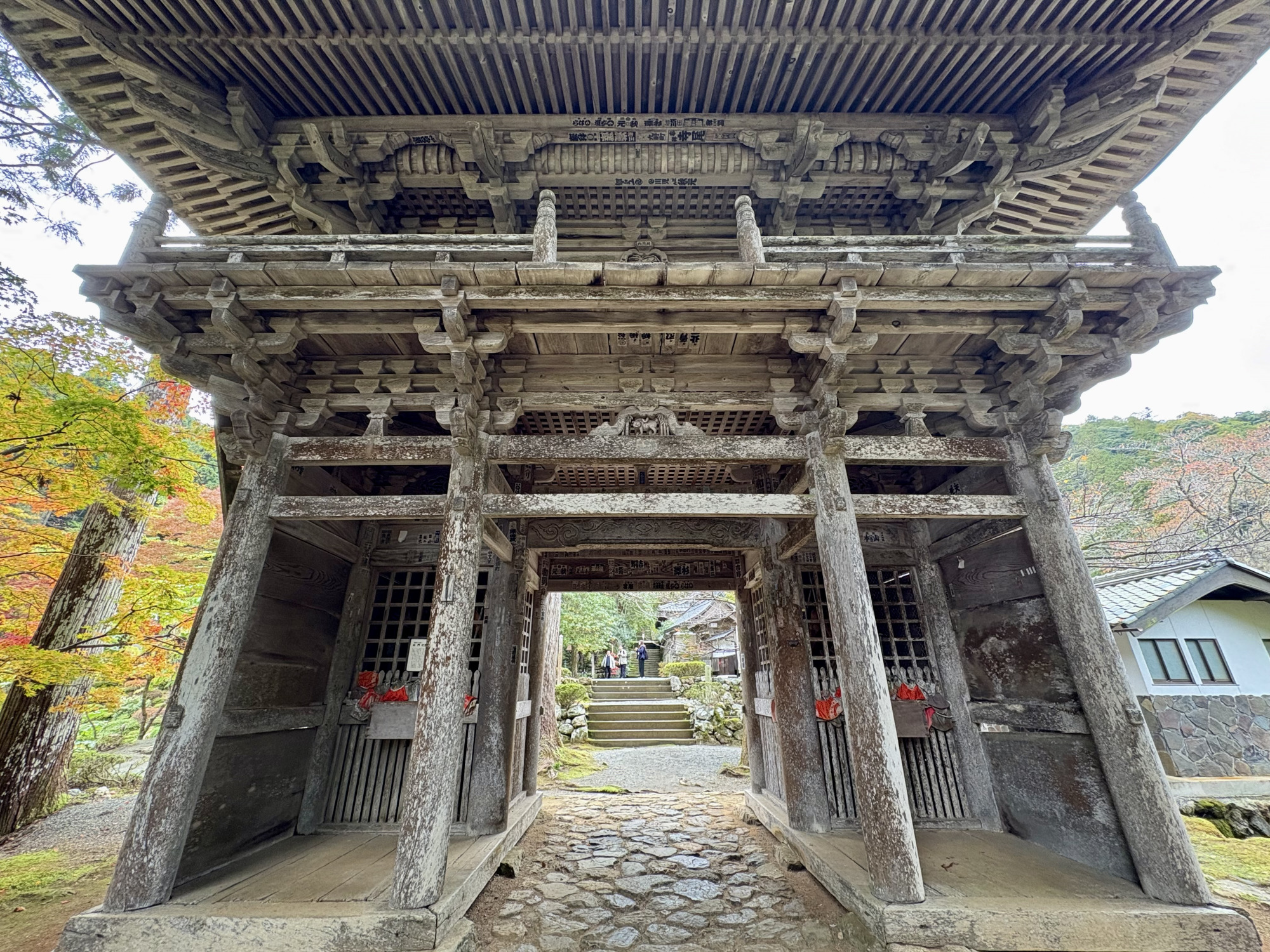 この山門の穏やかなインパクト！