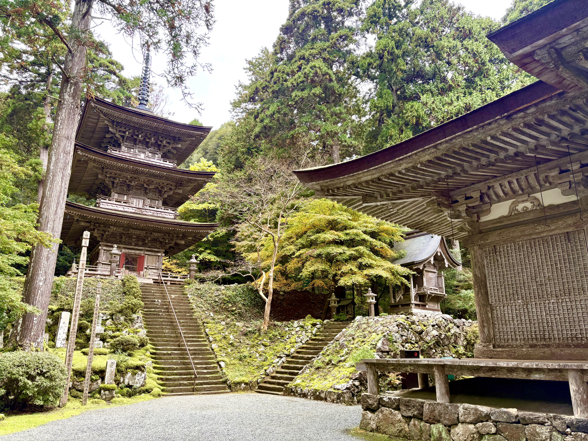 神聖な空間が広がっています。