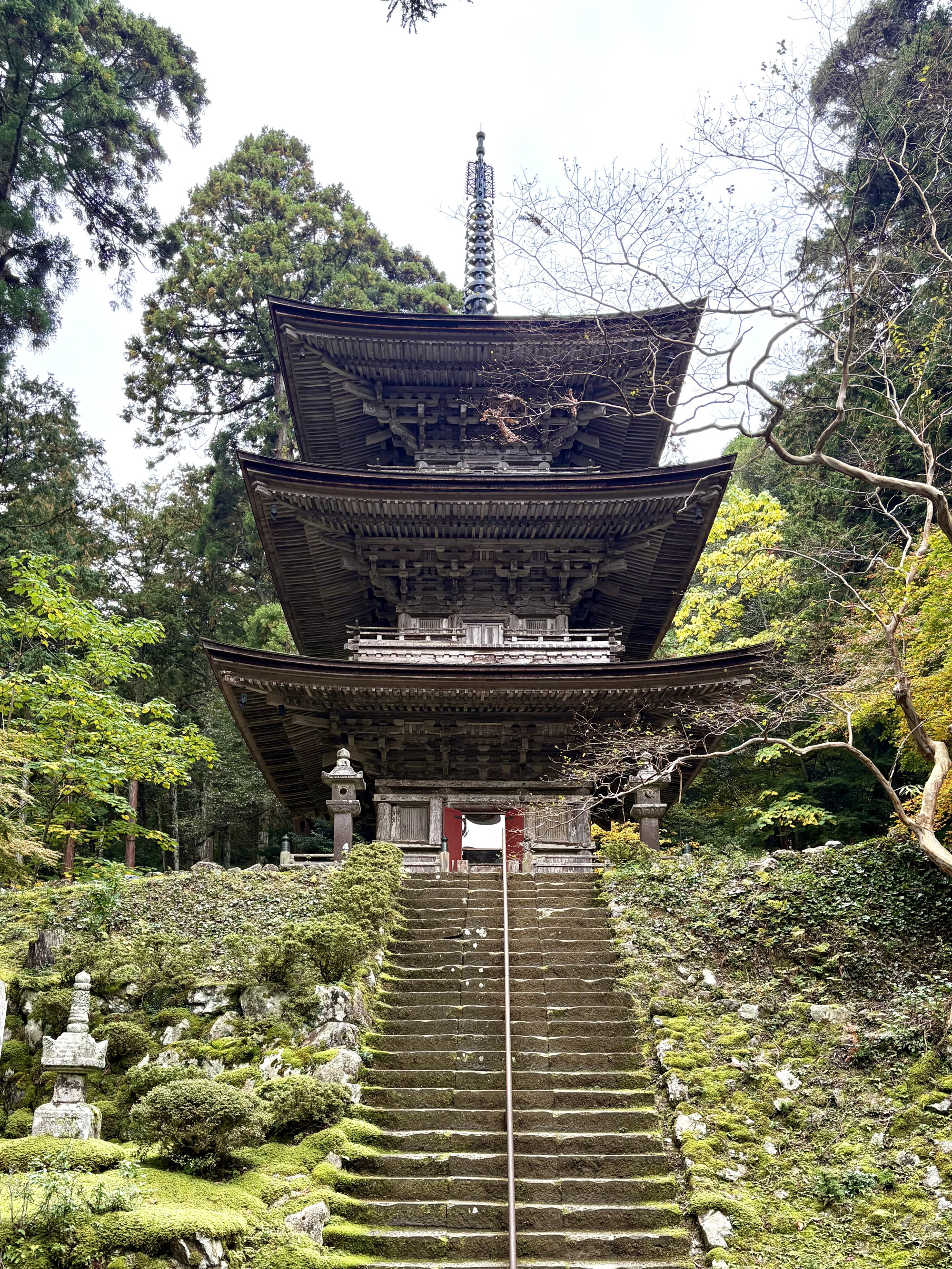 森の中にそびえる三重塔は圧巻。ぜひ実際に行って見上げてみてください。