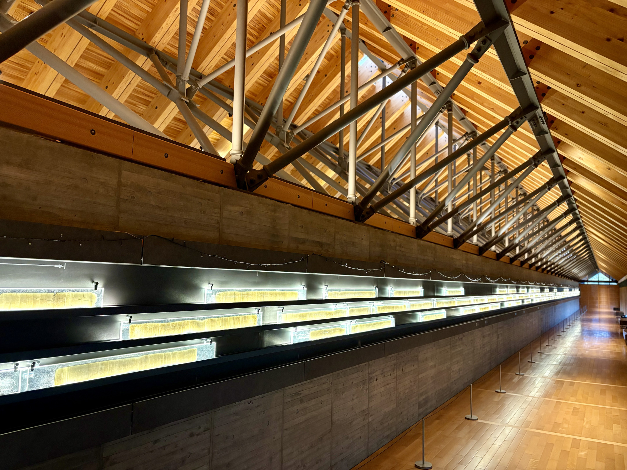 ズラリと並ぶ年縞！これが縦に湖の底に堆積していったわけです