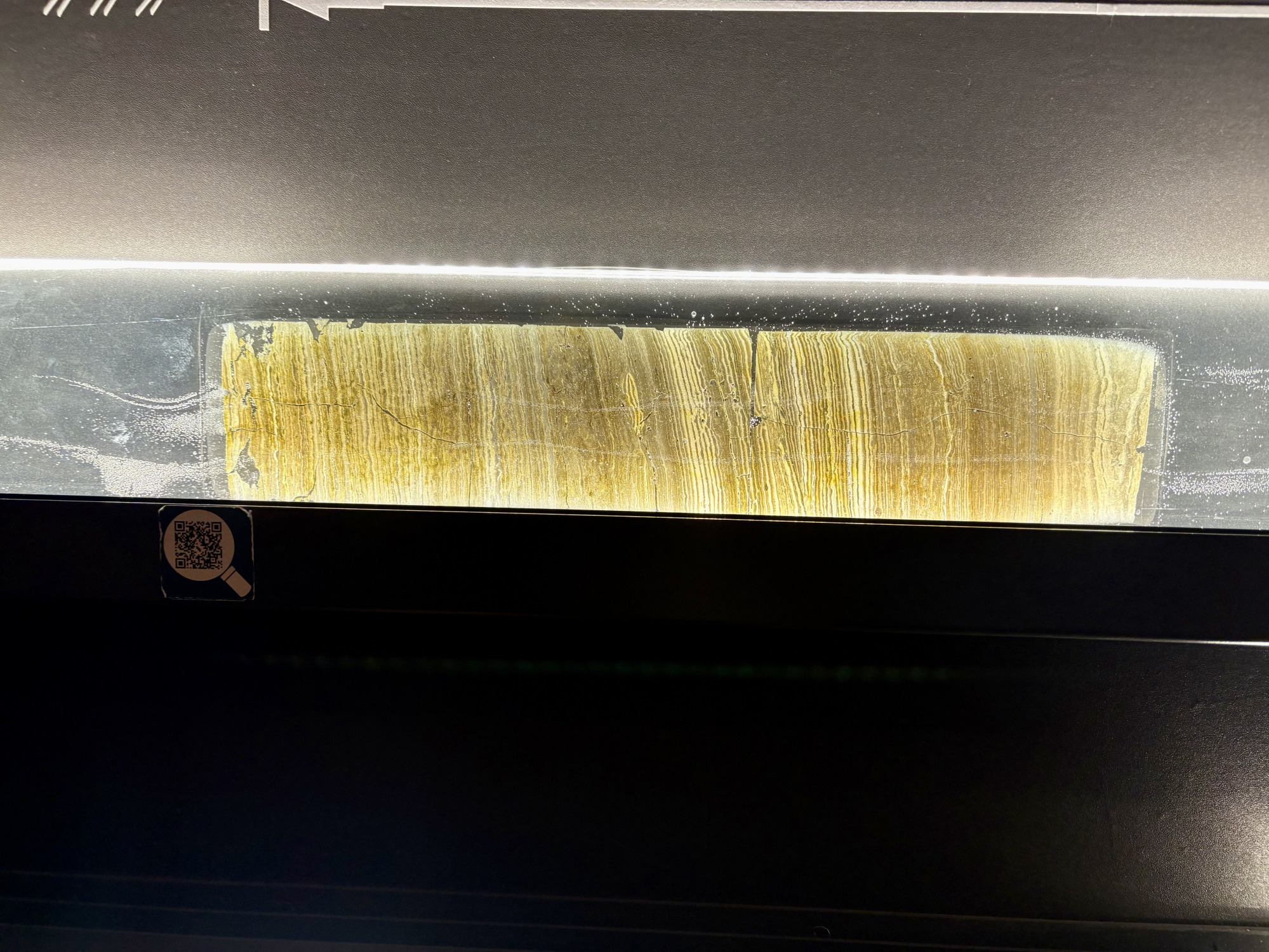 木の年輪のように、一年また一年と縞を作っていました